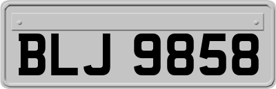 BLJ9858