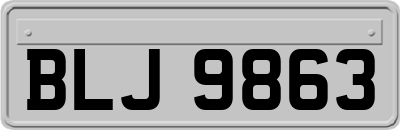 BLJ9863