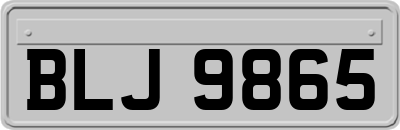 BLJ9865