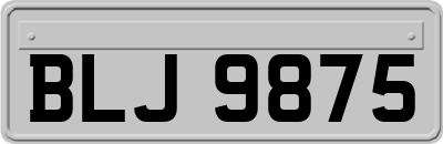 BLJ9875