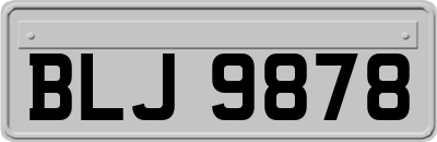 BLJ9878