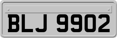 BLJ9902