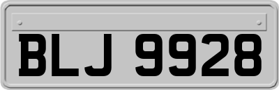 BLJ9928