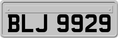 BLJ9929