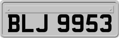 BLJ9953