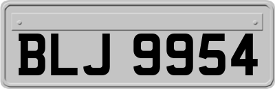 BLJ9954