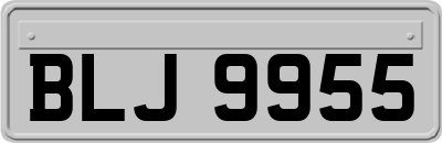 BLJ9955