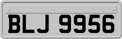 BLJ9956