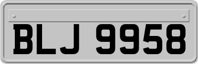 BLJ9958