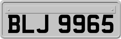 BLJ9965