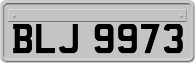 BLJ9973