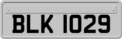 BLK1029