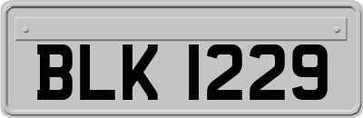 BLK1229