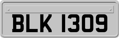 BLK1309