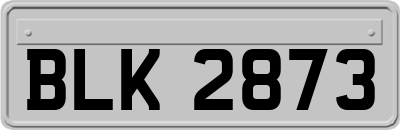 BLK2873