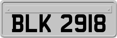 BLK2918