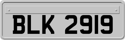 BLK2919