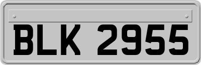 BLK2955