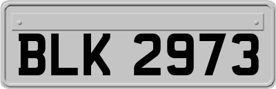BLK2973