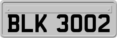 BLK3002