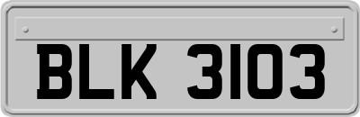 BLK3103