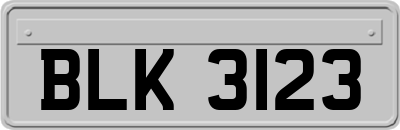 BLK3123