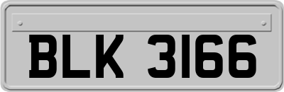 BLK3166