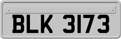 BLK3173