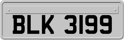 BLK3199
