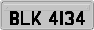 BLK4134