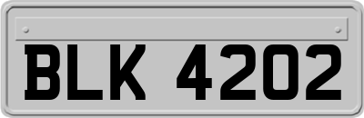 BLK4202