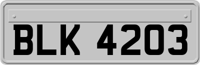 BLK4203