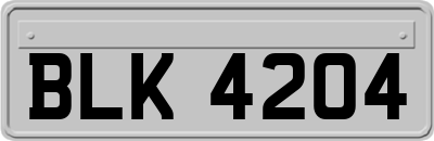BLK4204