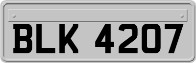 BLK4207