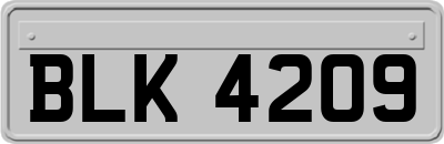 BLK4209