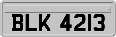 BLK4213