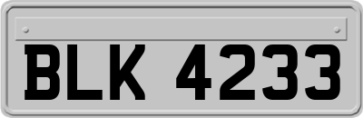 BLK4233