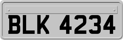 BLK4234