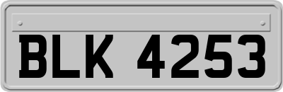BLK4253