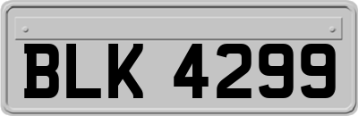 BLK4299