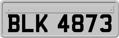 BLK4873