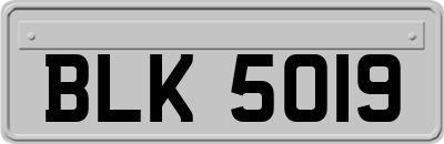 BLK5019