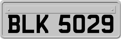 BLK5029
