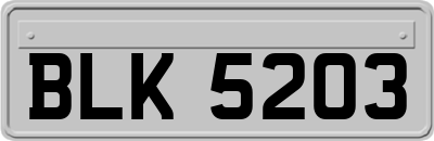 BLK5203