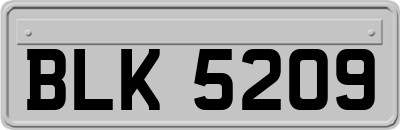 BLK5209