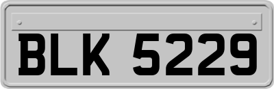 BLK5229