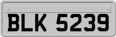 BLK5239
