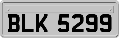 BLK5299