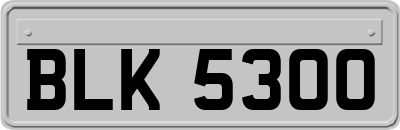 BLK5300