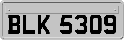 BLK5309